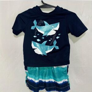 Baby And Toddler Boys Surfboard Swimsuit Size 9-12M